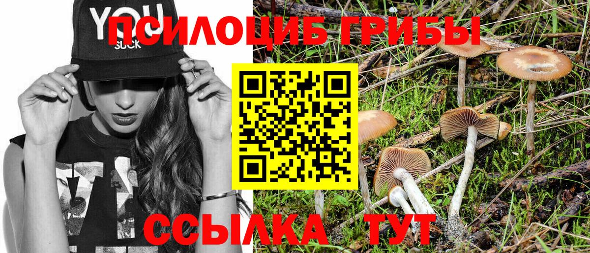 Галлюциногенные грибы Cubensis Губкинский